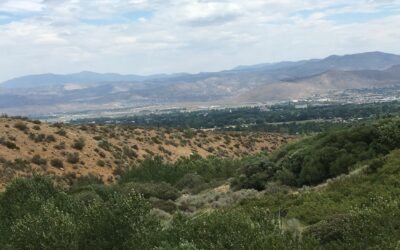 WNDD Economic Recovery Update – August 2021