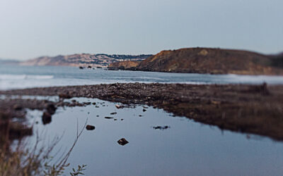 WNDD Economic Recovery Update